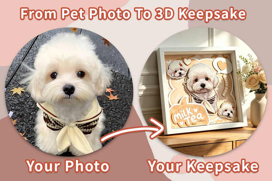 What Is a 3D Pet Portrait Shadow Box? A Complete Guide - MooWeeStudio