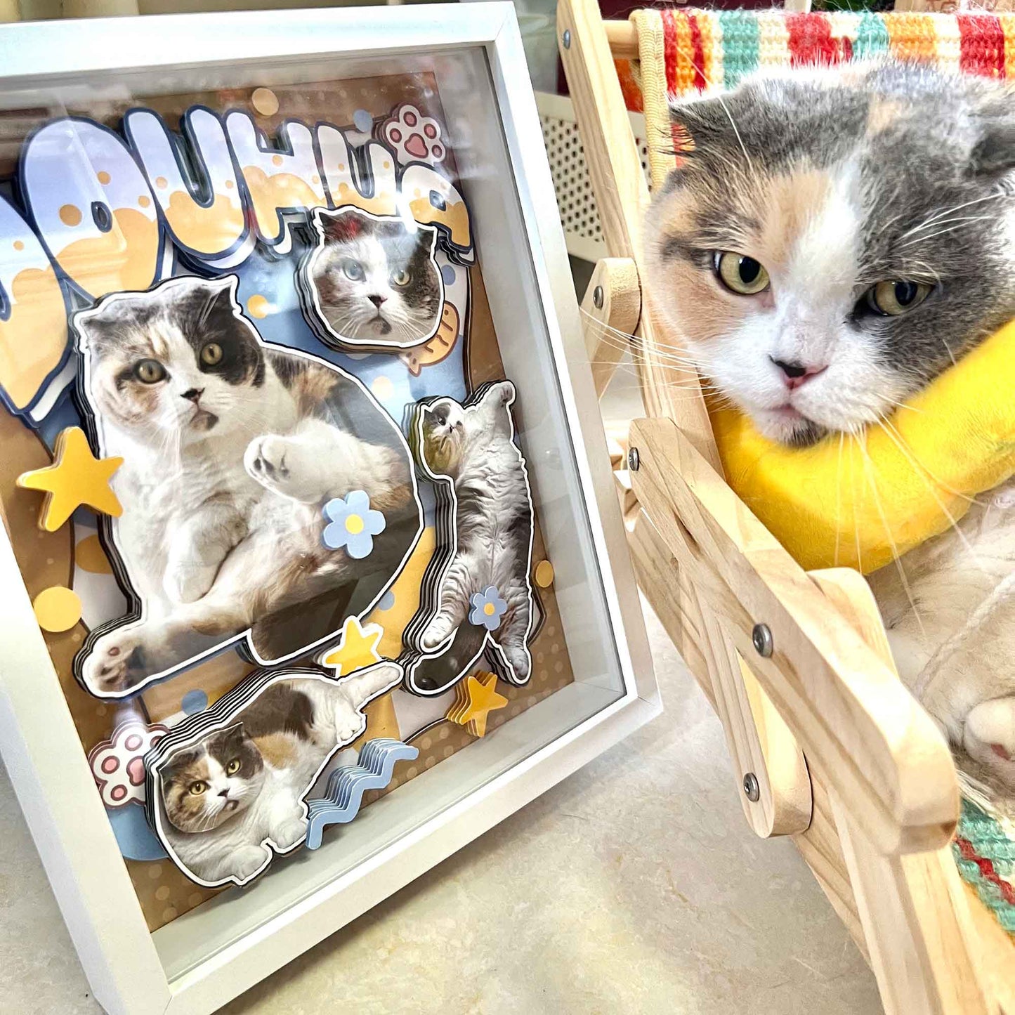 Custom Cat Portrait Shadow Box custom pet portrait - MooWeeStudio