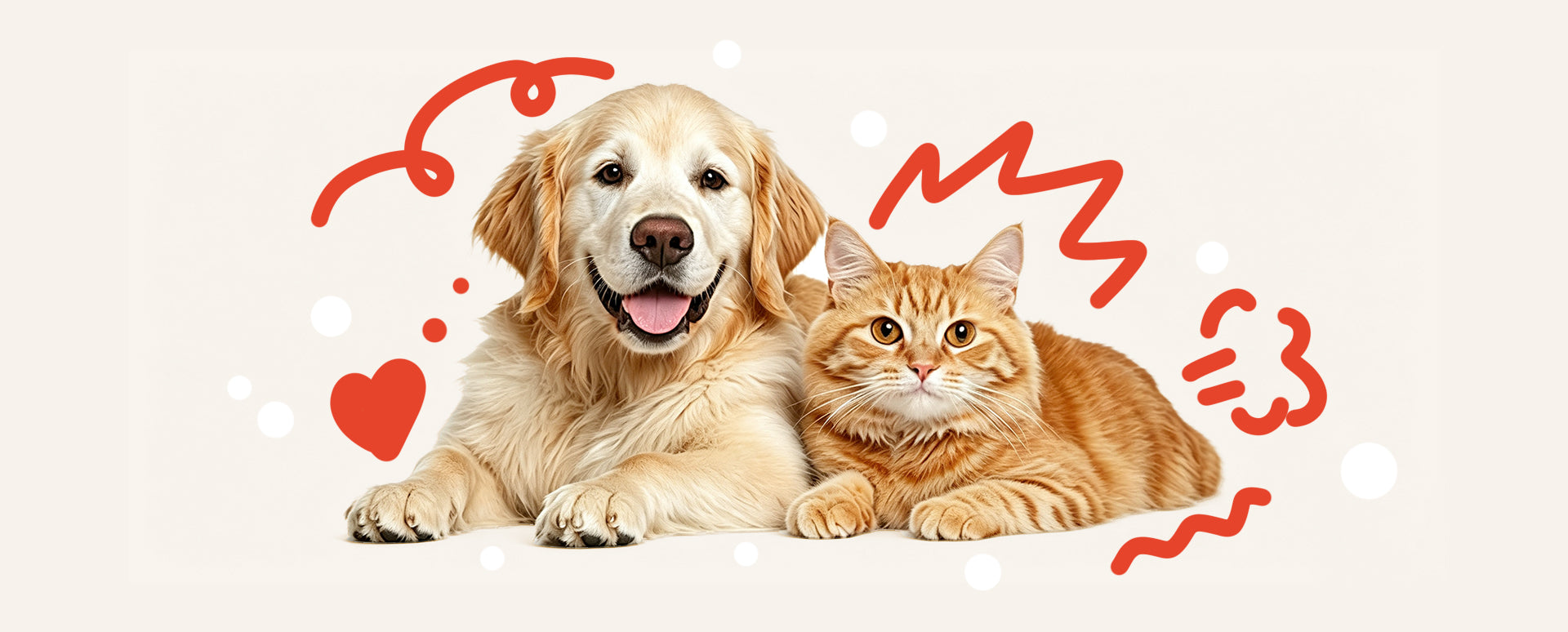 A smiling Golden Retriever and an orange tabby cat sitting together with playful red doodle decorations — MooWee custom pet portrait studio